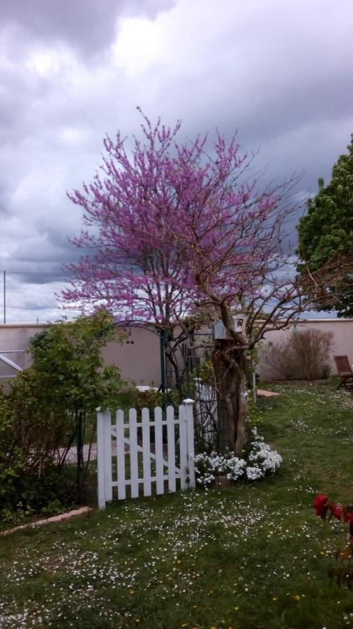 Les Bignones Apartment Freneuse (Yvelines)